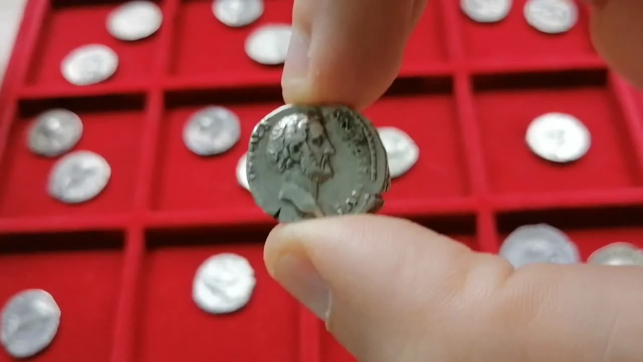 Коллекционирование как хобби: забудьте о строгих правилах