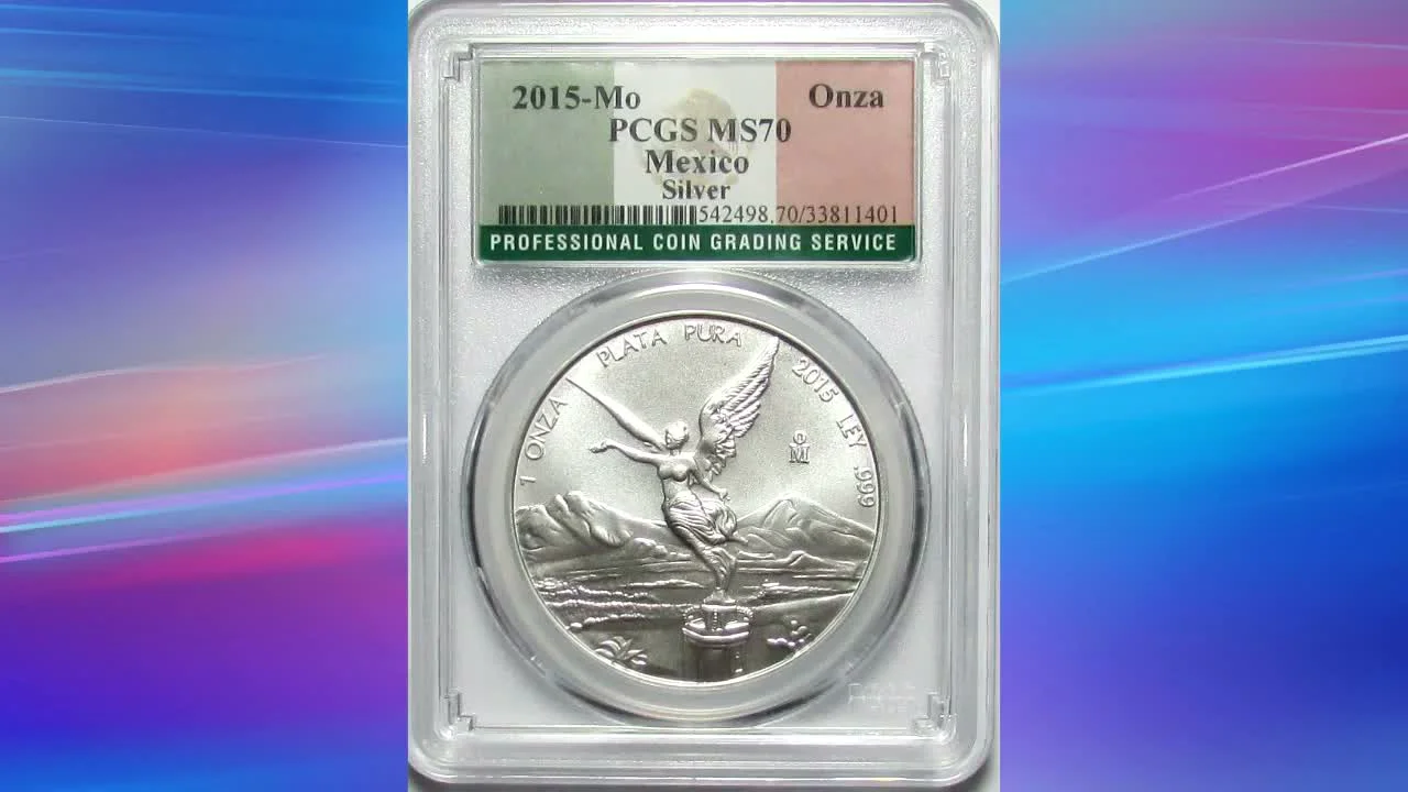 The World's Leading Grading Companies