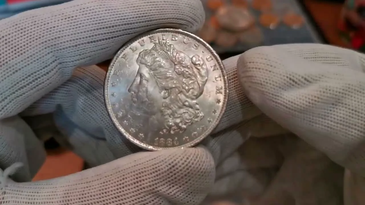 Case 2: Classic 'Bag Marks' on an 1884 Morgan Dollar