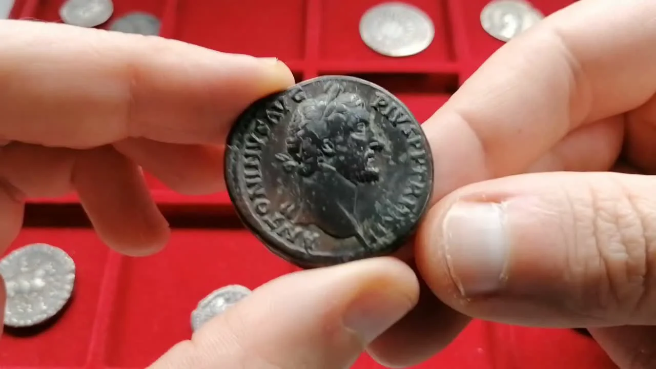 1. Изучайте монеты вживую