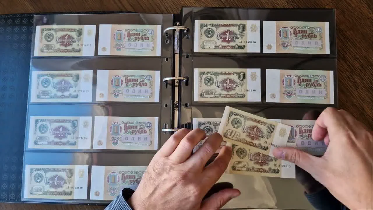 A Special Feature of Banknote Collecting: Pairs with Consecutive Serial Numbers